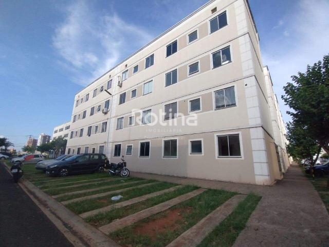 Apartamento aluguel em Condomínio Parque United States, Uberlândia