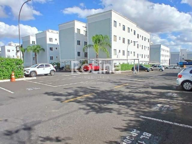 Apartamento aluguel em Região Geográfica Imediata de Uberlândia, Oliveira Fortes