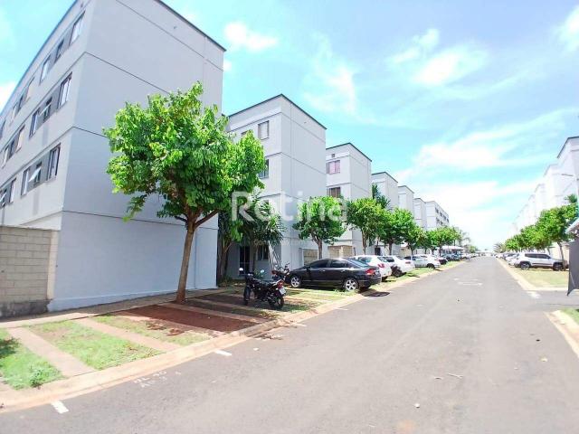 Apartamento aluguel em Condomínio Parque United States, Uberlândia