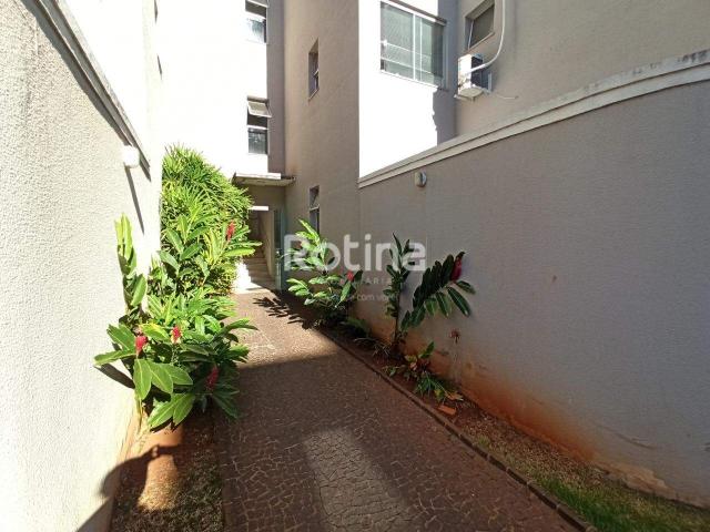 Apartamento aluguel em Condomínio Residencial Bosque do Praia, Uberlândia