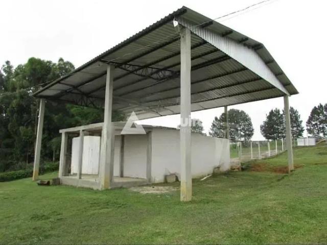Apartamento aluguel em Região Geográfica Imediata de Ponta Grossa, Ponta Grossa