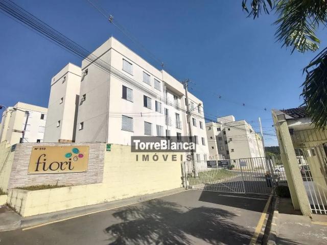 Apartamento aluguel em Região Geográfica Imediata de Ponta Grossa, Ponta Grossa