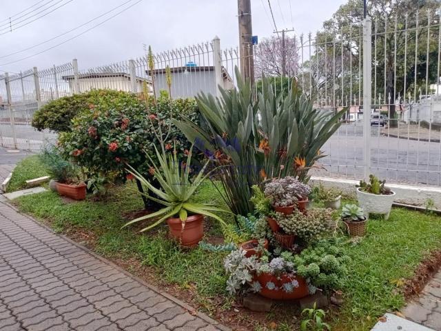 Apartamento aluguel em Região Imediata de Campinas, Região Metropolitana de Campinas