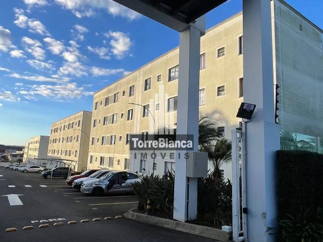 Apartamento aluguel em Região Geográfica Imediata de Ponta Grossa, Ponta Grossa