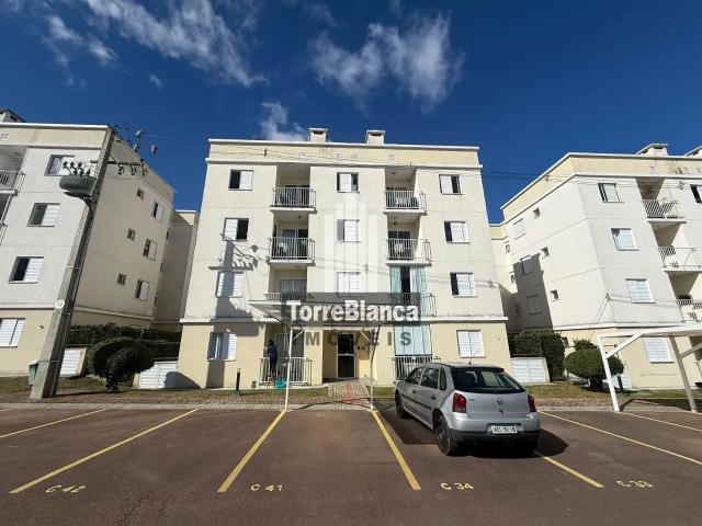 Apartamento aluguel em Região Geográfica Imediata de Ponta Grossa, Ponta Grossa