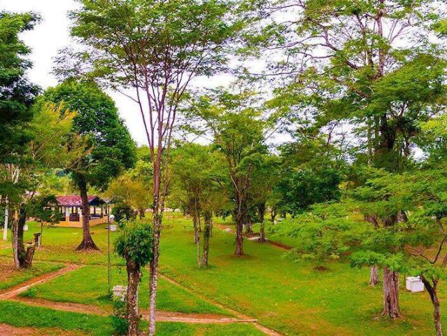 Apartamento aluguel em Ubatuba, Estufa II