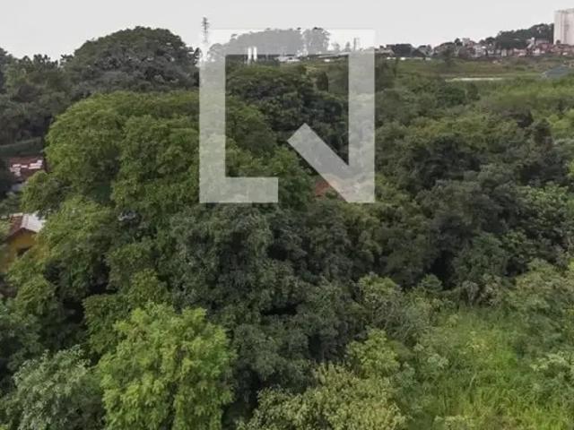 Apartamento aluguel em Vila Jardim Elian, São Paulo