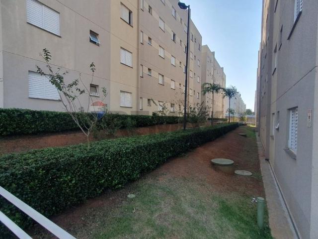 Apartamento aluguel em Região Imediata de Birigui-Penápolis, Birigui