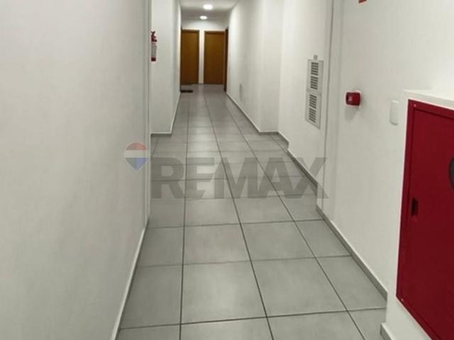 Apartamento aluguel em Região Imediata de Campinas, Região Metropolitana de Campinas