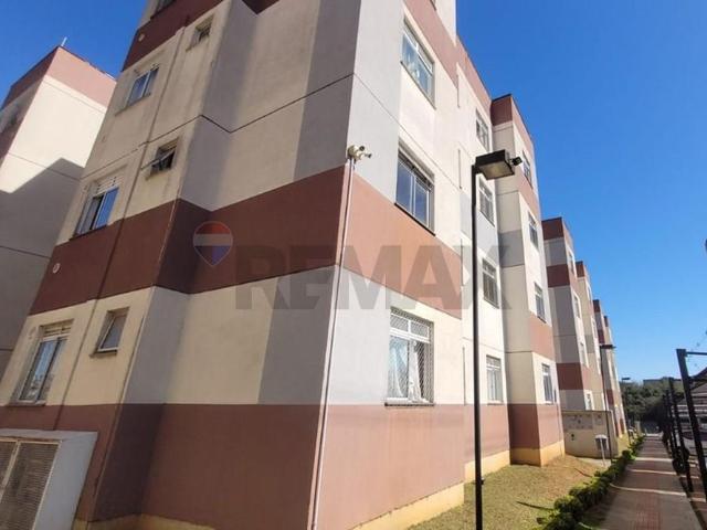 Apartamento aluguel em Região Geográfica Imediata de Curitiba, Região Metropolitana de Curitiba