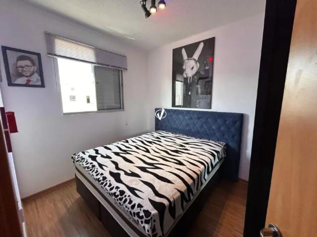 Apartamento aluguel em Região Imediata de Taubaté-Pindamonhangaba, Região Metropolitana do Vale do Paraíba e Litoral Norte