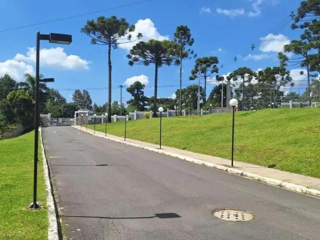 Apartamento aluguel em Região Geográfica Imediata de Curitiba, Região Metropolitana de Curitiba
