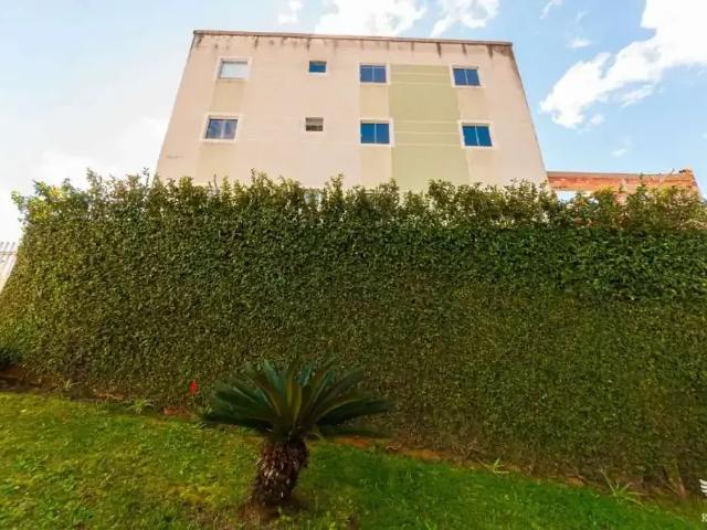 Apartamento aluguel em Região Geográfica Imediata de Curitiba, Região Metropolitana de Curitiba