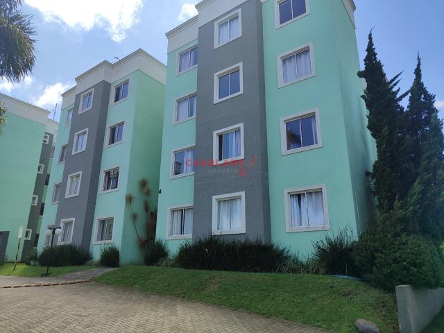 Apartamento aluguel em Região Geográfica Imediata de Curitiba, Região Metropolitana de Curitiba