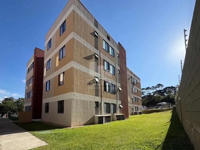 Apartamento aluguel em Região Geográfica Imediata de Curitiba, Região Metropolitana de Curitiba
