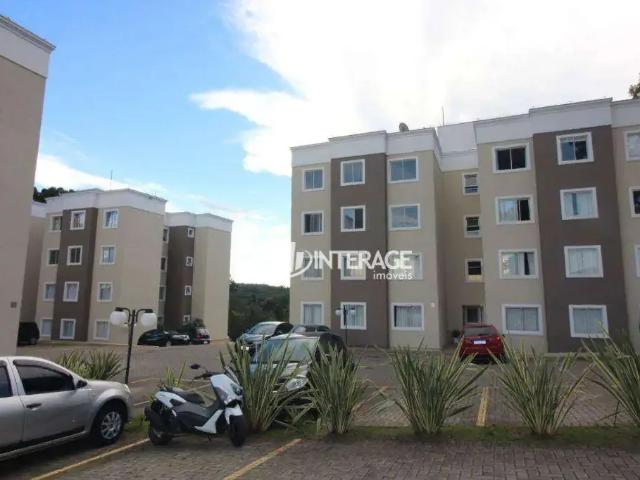 Apartamento aluguel em Região Geográfica Imediata de Curitiba, Região Metropolitana de Curitiba