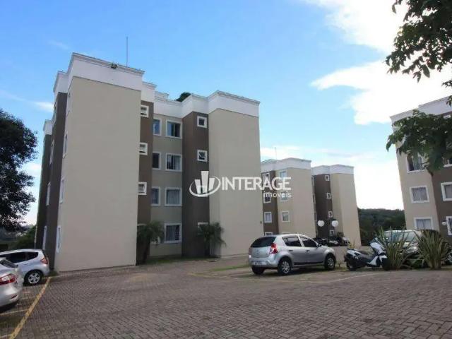Apartamento aluguel em Região Geográfica Imediata de Curitiba, Região Metropolitana de Curitiba