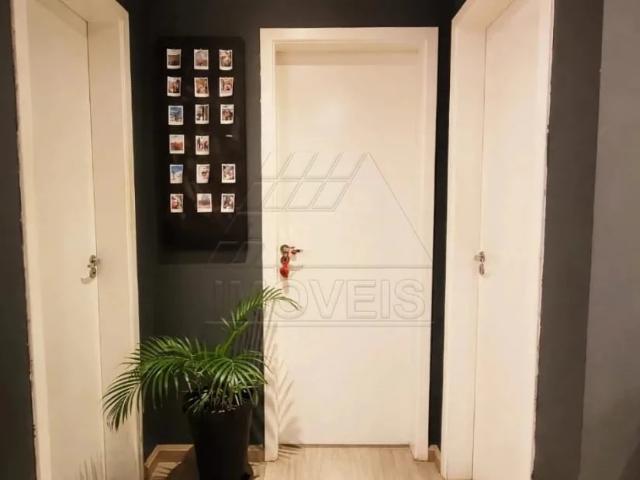 Apartamento aluguel em Região Imediata de Campinas, Região Metropolitana de Campinas