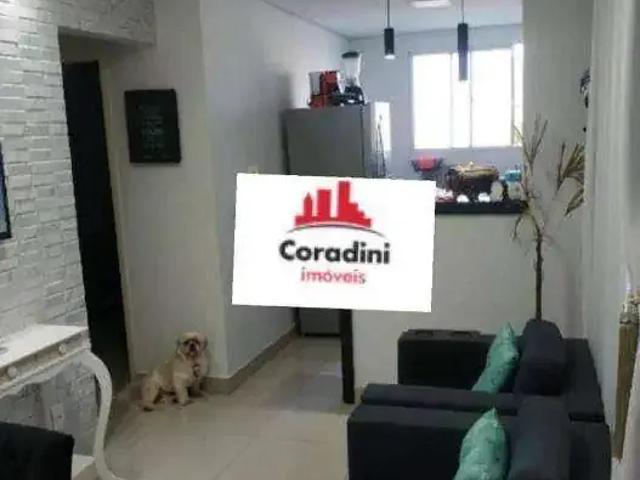Apartamento aluguel em Região Imediata de Campinas, Região Metropolitana de Campinas