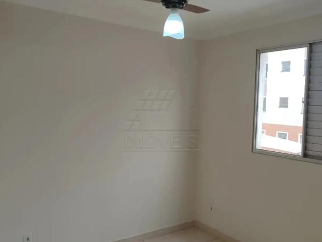 Apartamento aluguel em Região Imediata de Campinas, Região Metropolitana de Campinas