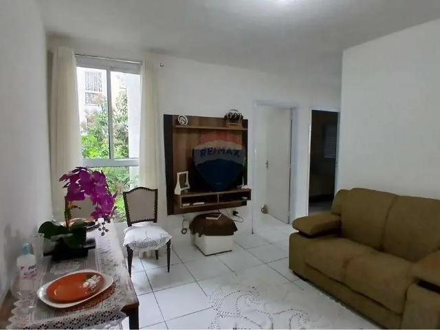 Apartamento aluguel em Região Imediata de Campinas, Região Metropolitana de Campinas
