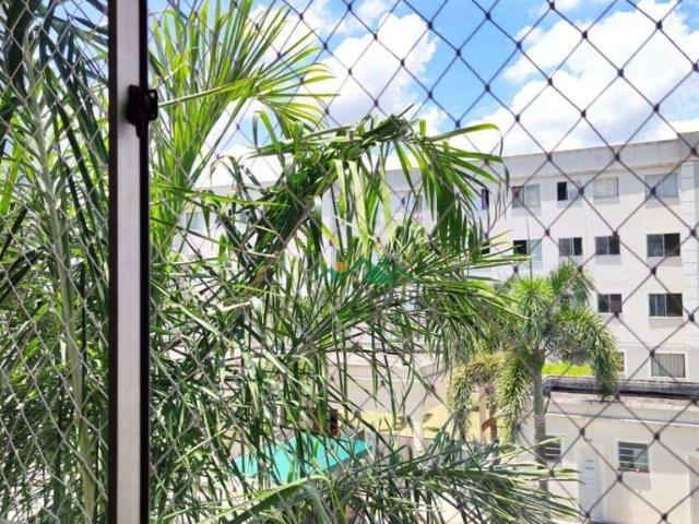 Apartamento aluguel em Aparecida, São Roque Apartamento aluguel em Aparecida, São Roque
