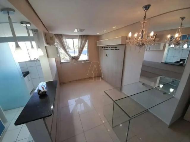 Apartamento aluguel em Região Imediata de Araçatuba, Araçatuba
