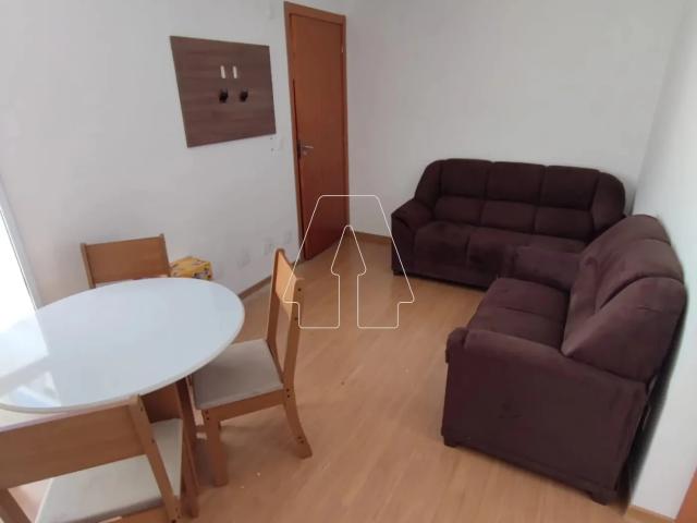 Apartamento aluguel em Araçatuba, Região Geográfica Intermediária de Araçatuba