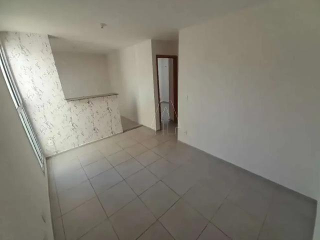 Apartamento aluguel em Região Imediata de Araçatuba, Araçatuba