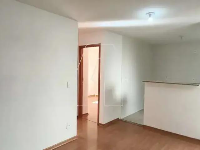 Apartamento aluguel em Região Imediata de Araçatuba, Araçatuba
