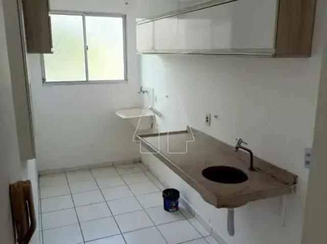 Apartamento aluguel em Região Imediata de Araçatuba, Araçatuba