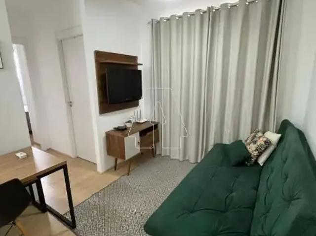 Apartamento aluguel em Região Imediata de Araçatuba, Araçatuba
