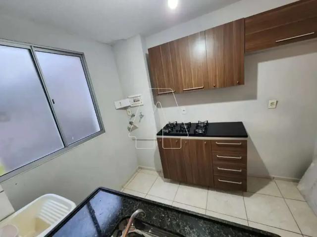 Apartamento aluguel em Região Imediata de Araçatuba, Araçatuba