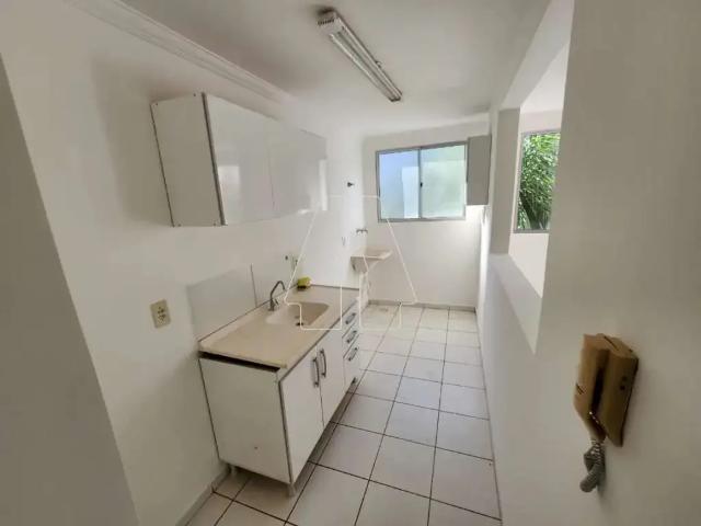 Apartamento aluguel em Região Imediata de Araçatuba, Araçatuba