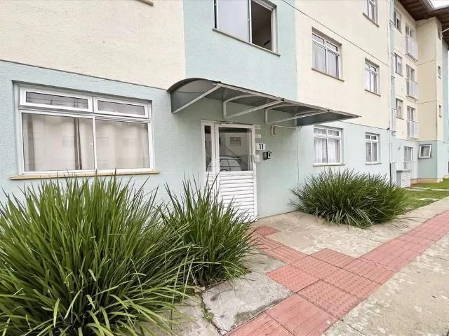 Apartamento aluguel em Região Geográfica Imediata de Curitiba, Região Metropolitana de Curitiba