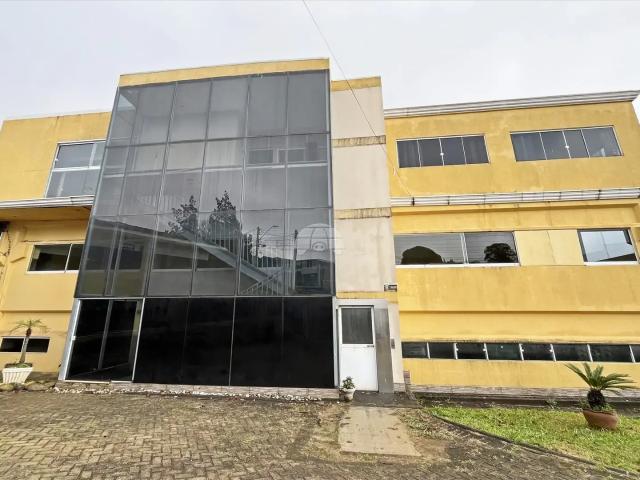 Apartamento aluguel em Região Geográfica Imediata de Curitiba, Região Metropolitana de Curitiba