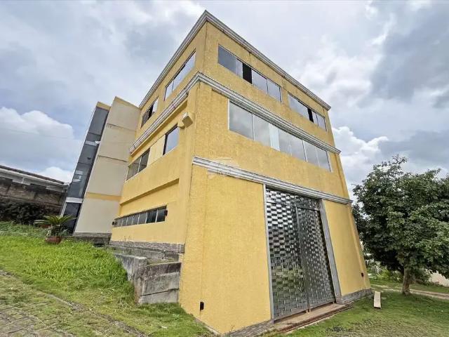Apartamento aluguel em Região Geográfica Imediata de Curitiba, Região Metropolitana de Curitiba