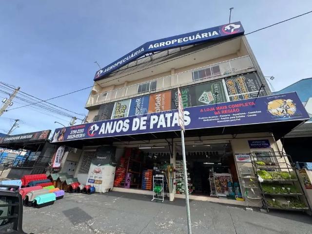 Apartamento aluguel em Região Geográfica Imediata de Curitiba, Região Metropolitana de Curitiba