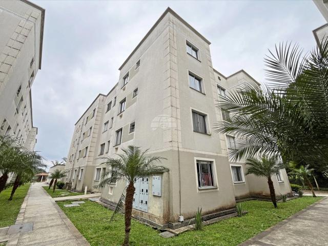 Apartamento aluguel em Região Geográfica Imediata de Curitiba, Região Metropolitana de Curitiba