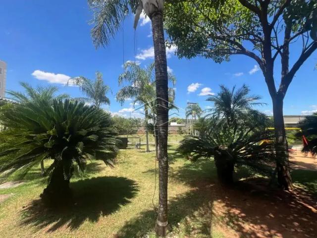 Apartamento aluguel em Região Imediata de Bauru, Bauru