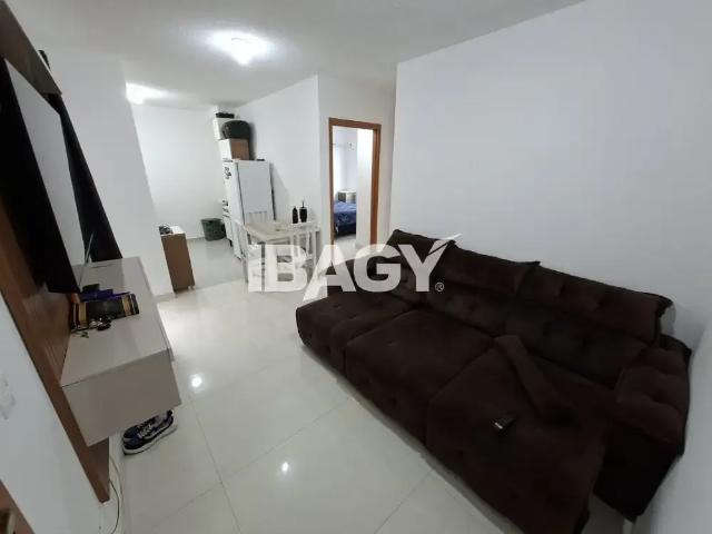 Apartamento aluguel em Região Geográfica Imediata de Florianópolis, Biguaçu