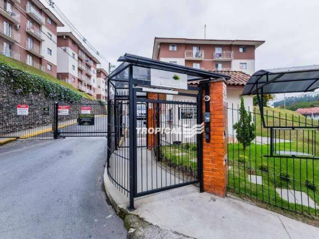 Apartamento aluguel em Região Geográfica Imediata de Blumenau, Blumenau