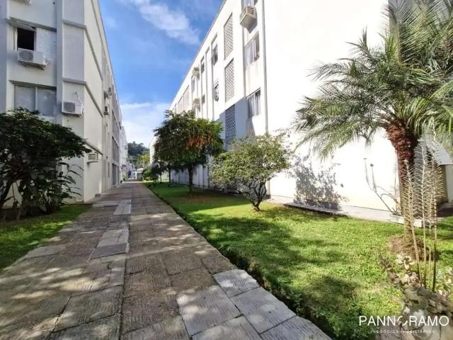 Apartamento aluguel em Região Geográfica Imediata de Blumenau, Blumenau