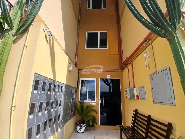 Apartamento aluguel em Região Geográfica Imediata de Blumenau, Blumenau