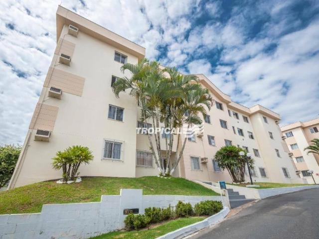 Apartamento aluguel em Região Geográfica Imediata de Blumenau, Blumenau