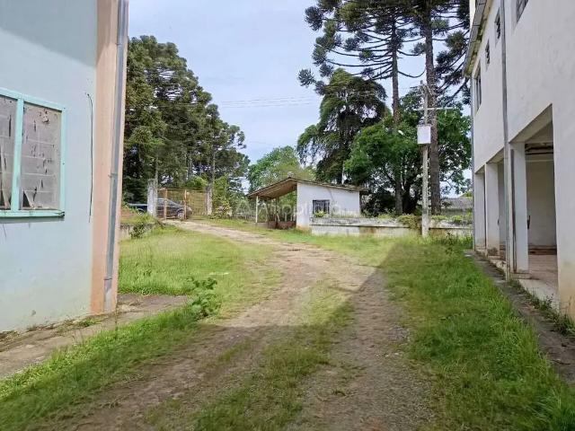 Apartamento aluguel em Região Geográfica Imediata de Curitiba, Região Metropolitana de Curitiba