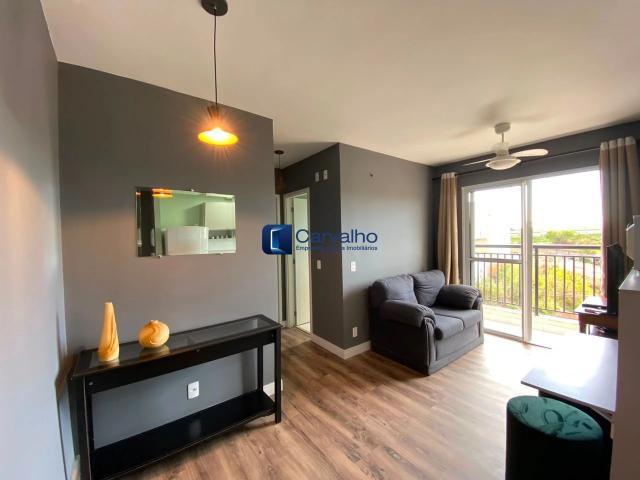 Apartamento aluguel em Campo Grande, Campinas