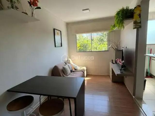 Apartamento aluguel em Região Imediata de Campinas, Região Metropolitana de Campinas