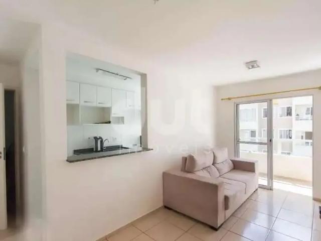 Apartamento aluguel em Região Imediata de Campinas, Região Metropolitana de Campinas