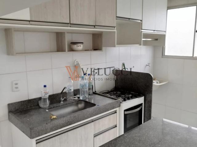Apartamento aluguel em Campinas